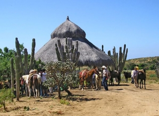 Preparacion de caballos